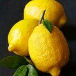 Lemon photo