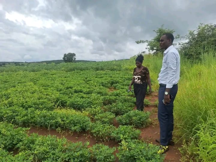 Through the micro fund, they empower women with loans to boost their farming in Soya beens as seen in the picture