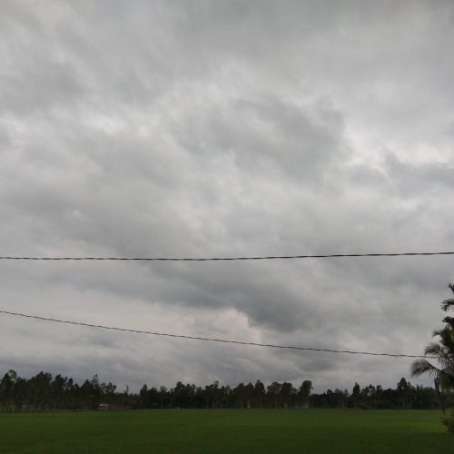 A Rainy day of the Rainy season
