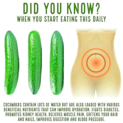 Cucumber