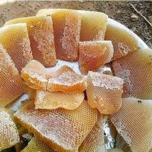 Important discussion about honey