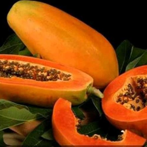 Papaya