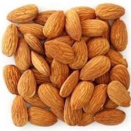 the Indian-almond or Terminalia catappa