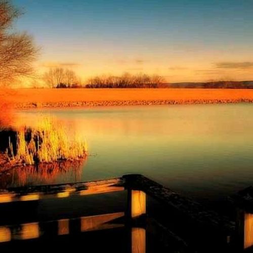 The Summer season photo